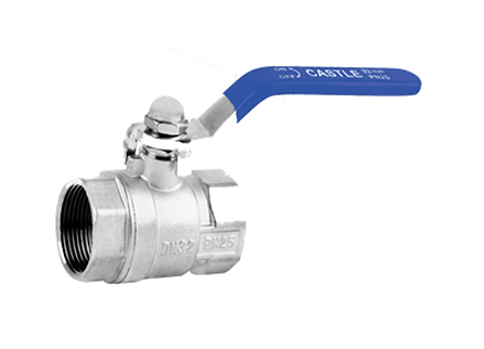 1.25 inch Manual Brass Ball Valves Threaded_0
