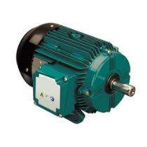 Crompton Three Phase 5 hp AC Motors_0
