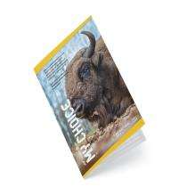 TRIDENT 72 Pages Writing Notebooks 210 x 297 mm_0