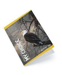 TRIDENT 272 Pages Writing Notebooks 210 x 297 mm_0