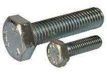 M10 - M80 Stainless Steel Hexagon Head Bolts 6 in_0