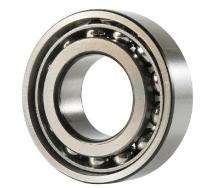 SKF Ball Bearings Stainless Steel_0