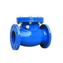 Dharti Swing Type DI Non Return Valves DN 230 mm PN 1.12_0