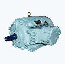 Three Phase 500 hp AC Motors_0
