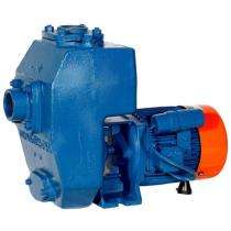 Kirloskar SP 4LA+ 10 hp 1450 rpm Monoblock Pumps_0