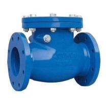 Swing Type CI Non Return Valves 80 mm Flanged_0