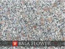 16 mm Bala Flower Granite Slab 1000 x 6500 sqmm Polished_0