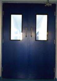 SHREE MAHALAXMI 120 min Double Fire Check Door ED4_0