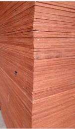 NAVKAR 19 mm Abrasion Proof Plywood 2440 x 1220 mm IS 303_0