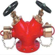 LIFE SAFETY ENGINEERS FHS02 CI Double Outlet Fire Hydrant System_0