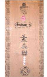 Fortune 18 mm Waterproof and Anti-Termite Plywood 2440 x 1220 mm IS 303_0