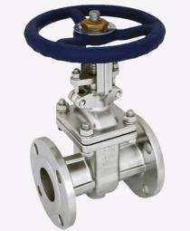 100 mm Motorized Gate Valves_0