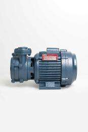 Taro Self Priming 2 hp 2900 rpm Monoblock Pumps_0