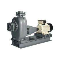 Ki​r​l​o​s​k​a​r​ Motor Sewage Pumps Upto 30 m_0