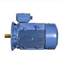 Three Phase 470 hp Double Pole Foot Mounted AC Motors_0