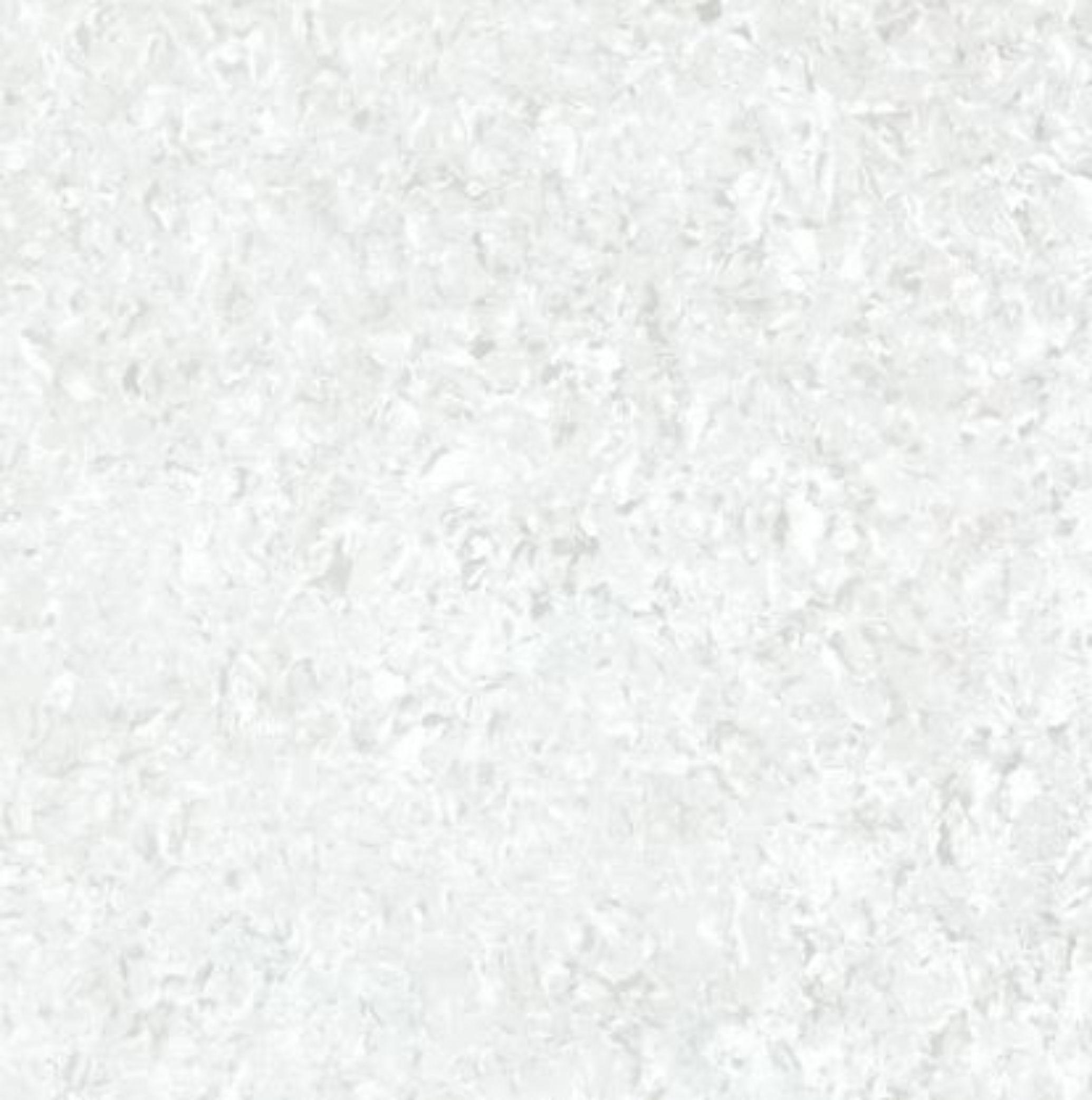 SHUBH INTERNATIONAL Lotus White - L 600 x 600 mm White Glossy Ceramic Tile_0