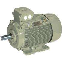 Crompton 1500 rpm Three Phase 10 hp Double Pole Foot Mounted AC Motors_0