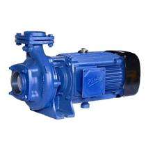 Kirloskar 2 hp 2900 rpm Monoblock Pumps_0