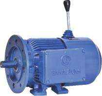 Bharat Bijlee 1500 rpm Three Phase 1 hp Four Pole Foot Mounted AC Motors_0