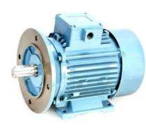 Three Phase 100 hp Six Pole Foot Mounted AC Motors_0