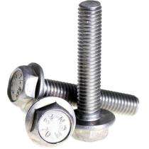 M10 Stainless Steel Hexagon Head Bolts SS 304 30 mm_0