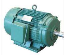 Three Phase 100 hp Four Pole Flange Mounted AC Motors_0