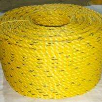 Nylon Braided 10 mm Ropes Yellow_0