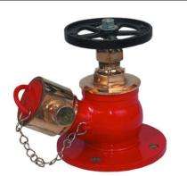 Stainless Steel Single Headed Hydrant Valves_0