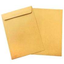 Paper 100 gsm 12 x 16 inch Envelopes_0
