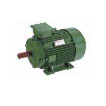 Three Phase 50 hp Double Pole Foot Mounted AC Motors_0