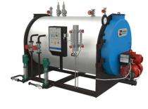 Forbes Marshall 750 kg/hr Steam Boiler_0