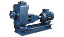 Crompton Greaves DWS10 10 hp Single, Three Phase 1455 rpm Dewatering Pumps_0