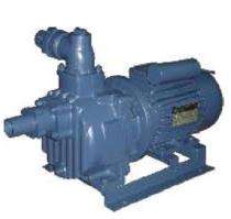 Crompton Greaves PS 12 1 hp Single, Three Phase 2870 rpm Dewatering Pumps_0