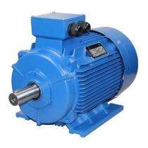 Brotovario 37 1440 rpm Three Phase 5 hp Four Pole Foot Mounted AC Motors_0