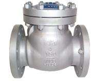 DN 150 mm Manual Check Valves_0
