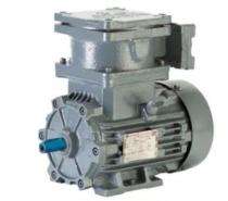 Bharat Bijlee Three Phase 200 hp Four Pole Flange Mounted AC Motors_0