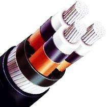 HAVELLS A2XFY 3 Core 240 sqmm 11 kV HT XLPE Cable_0