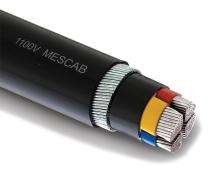 HAVELLS Aluminium PVC Unarmoured PVC LT Power Cables 4 Core 16 sqmm 1.1 kV_0