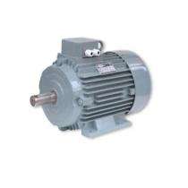 Three Phase 2 hp Double Pole Foot and Flange Mounted AC Motors_0