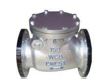 CREST Manual CS Check Valves 25 - 300 mm_0