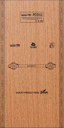 ECOTEC 12 mm Waterproof and Anti-Termite Plywood 2440 x 1220 mm_0