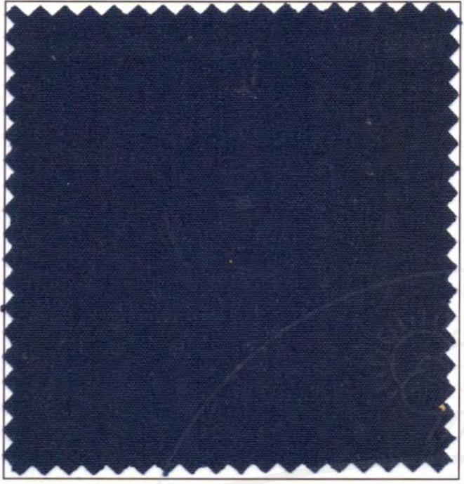 Chander Sales Cotton Canvas Cloth upto 50 m upto 2 m Blue_0
