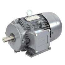 Three Phase 1 hp Four Pole Foot Mounted AC Motors_0