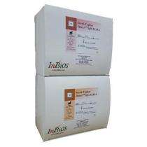 Active Melioidosis Rapid Test Kit_0