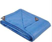 Plastic 10 x 8 ft Tarpaulins_0