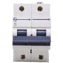 L&T AU15S20803D Double Pole 80 A D MCB_0