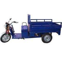 E-Ashwa Automotive 150 km 200 Ah Electric Rickshaw_0