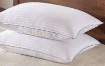 Furn House 20 x 26 inch Sleeping Pillow P-01 Cotton_0