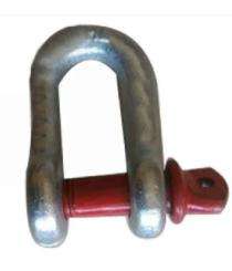 16 mm Stainless Steel D Clamps_0