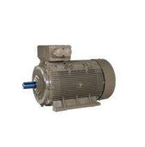 Three Phase 10 hp Six Pole Flange Mounted AC Motors_0